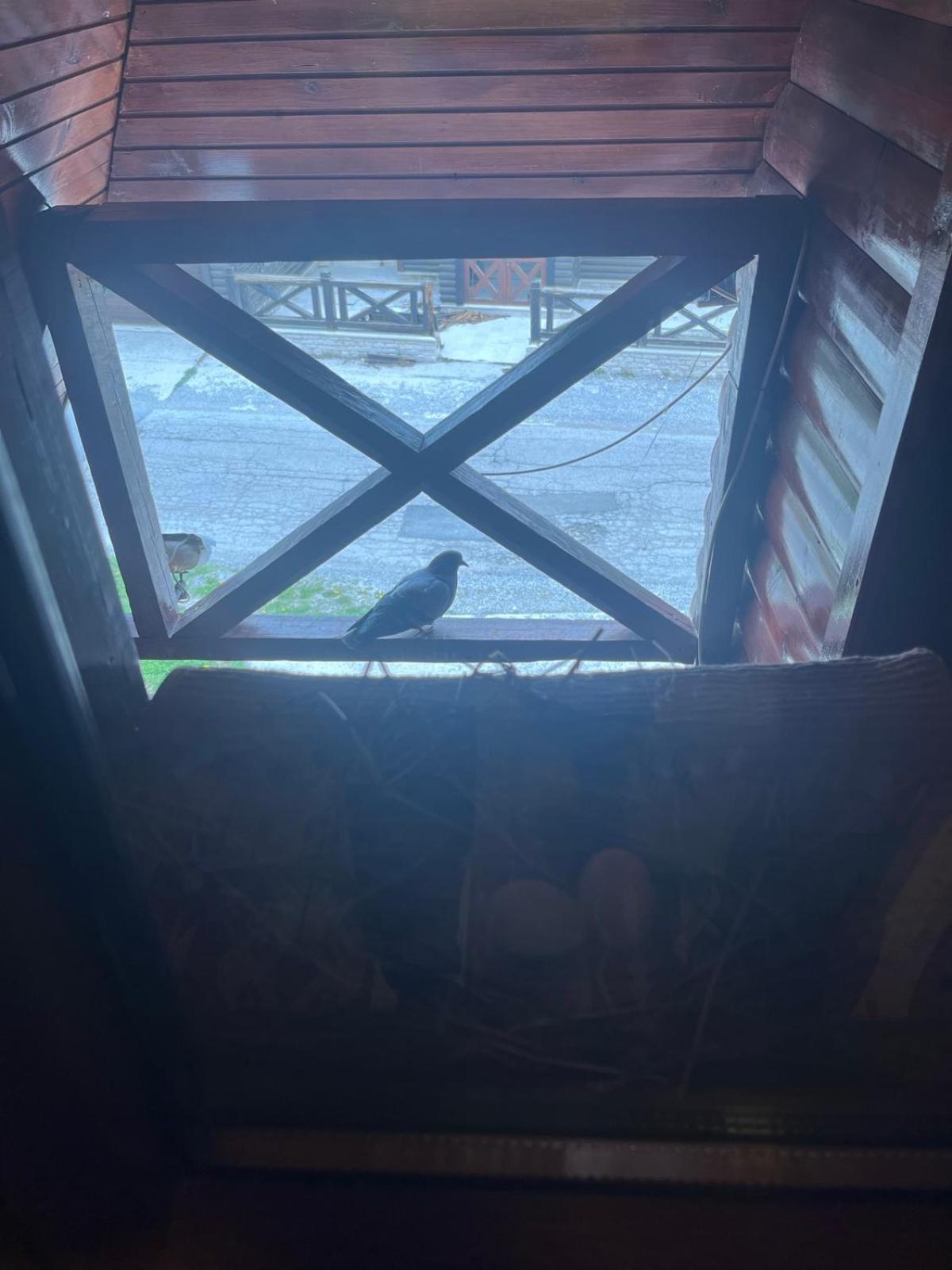 Apartmani "Matija" Žabljak Exteriör bild